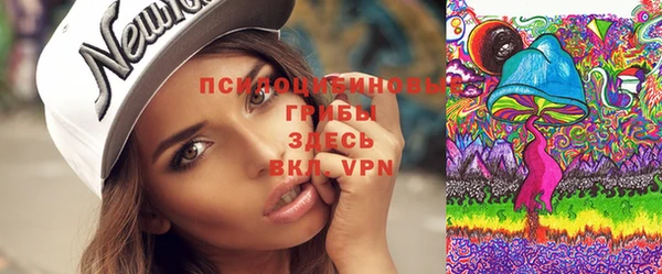 прущая мука Нея